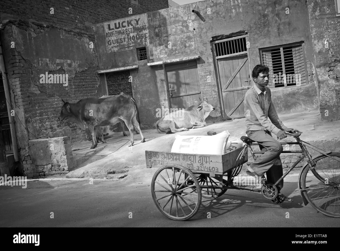 Ein Mann-Fahrrädern durch die Straßen von Agra, Indien Stockfoto