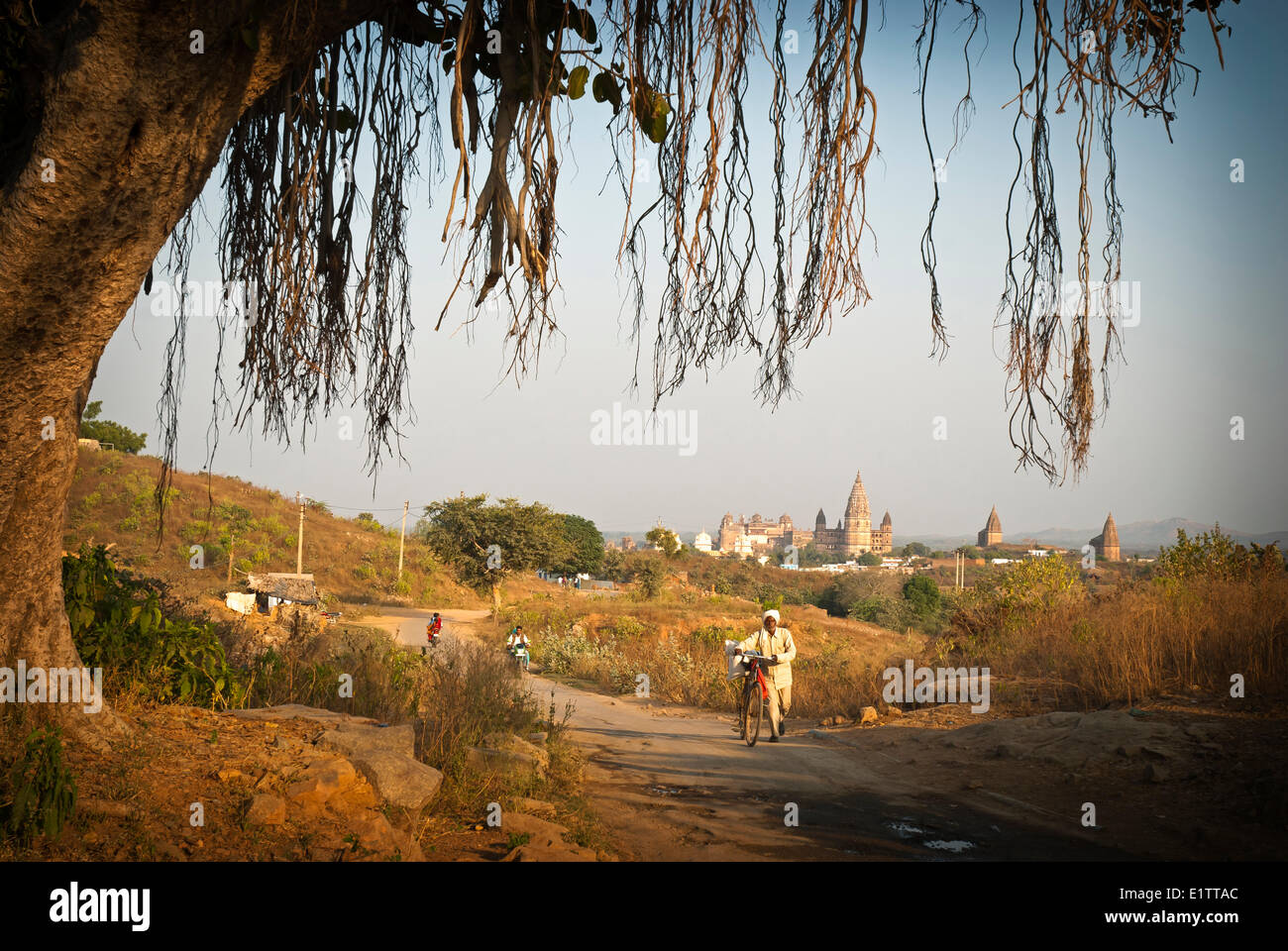 Oberhalb der Stadt Orchha bei Sonnenuntergang, Orchha Indien Stockfoto