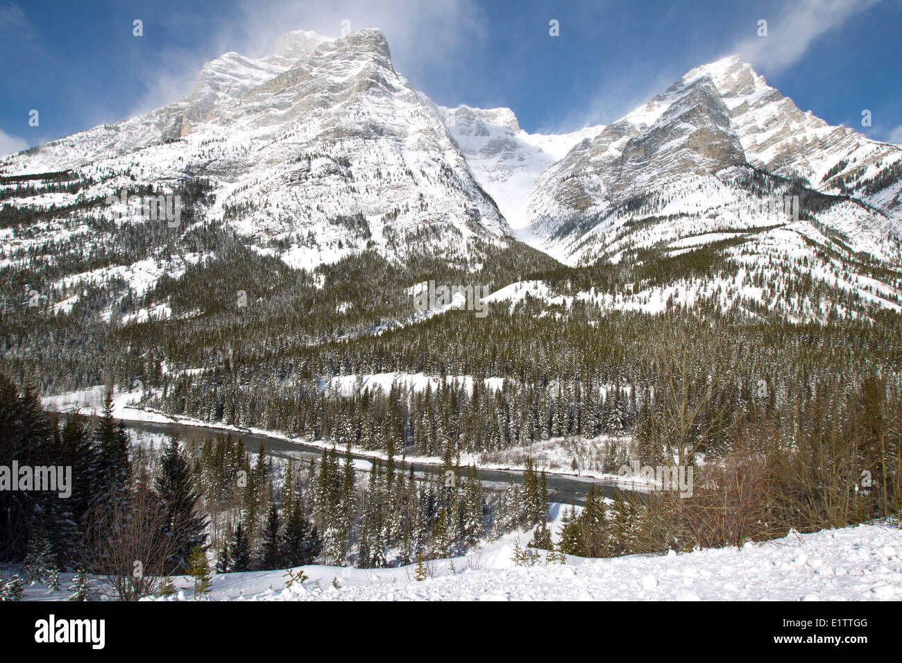 Rocky Creek, Kananaskis Provincial Park, Alberta, Kanada Stockfoto