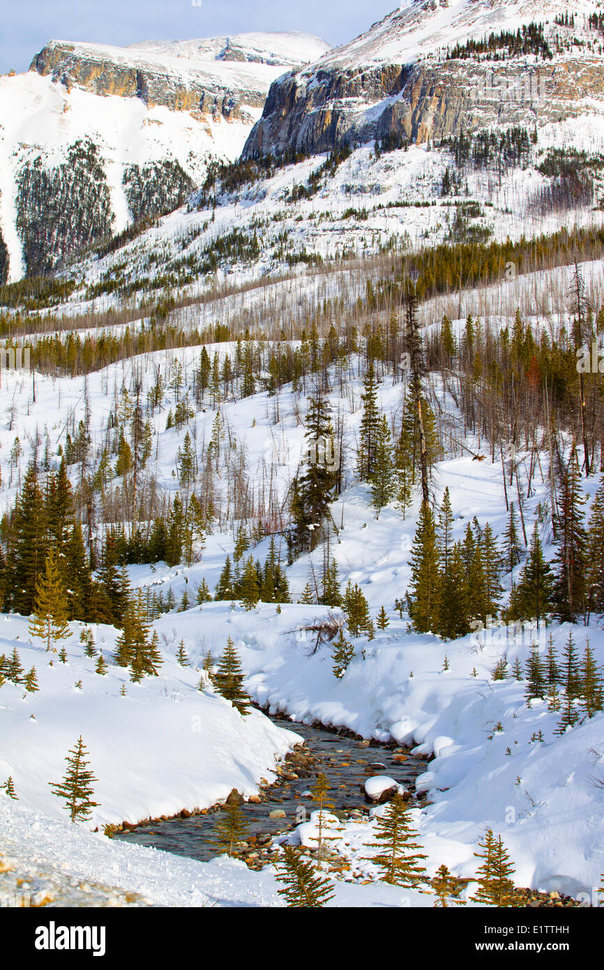 Schneebedeckte Berge, Kootney National Park, Britisch-Kolumbien, Kanada Stockfoto