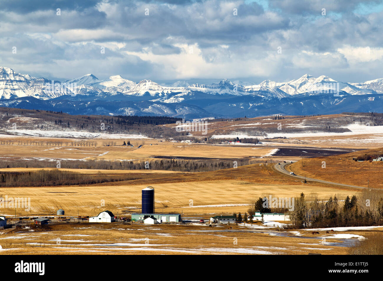 Blick in Richtung Millarville, Cowboy Trail, Ausläufer, Alberta, Kanada Stockfoto