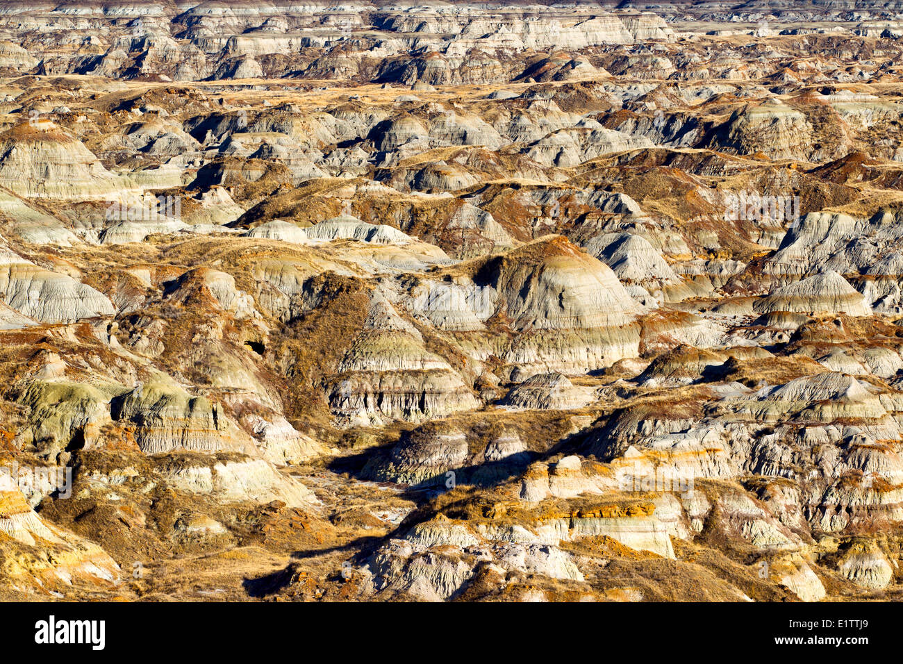 Dinosaur Provincial Park, UNESCO World Heritage Site, Alberta, Kanada Stockfoto