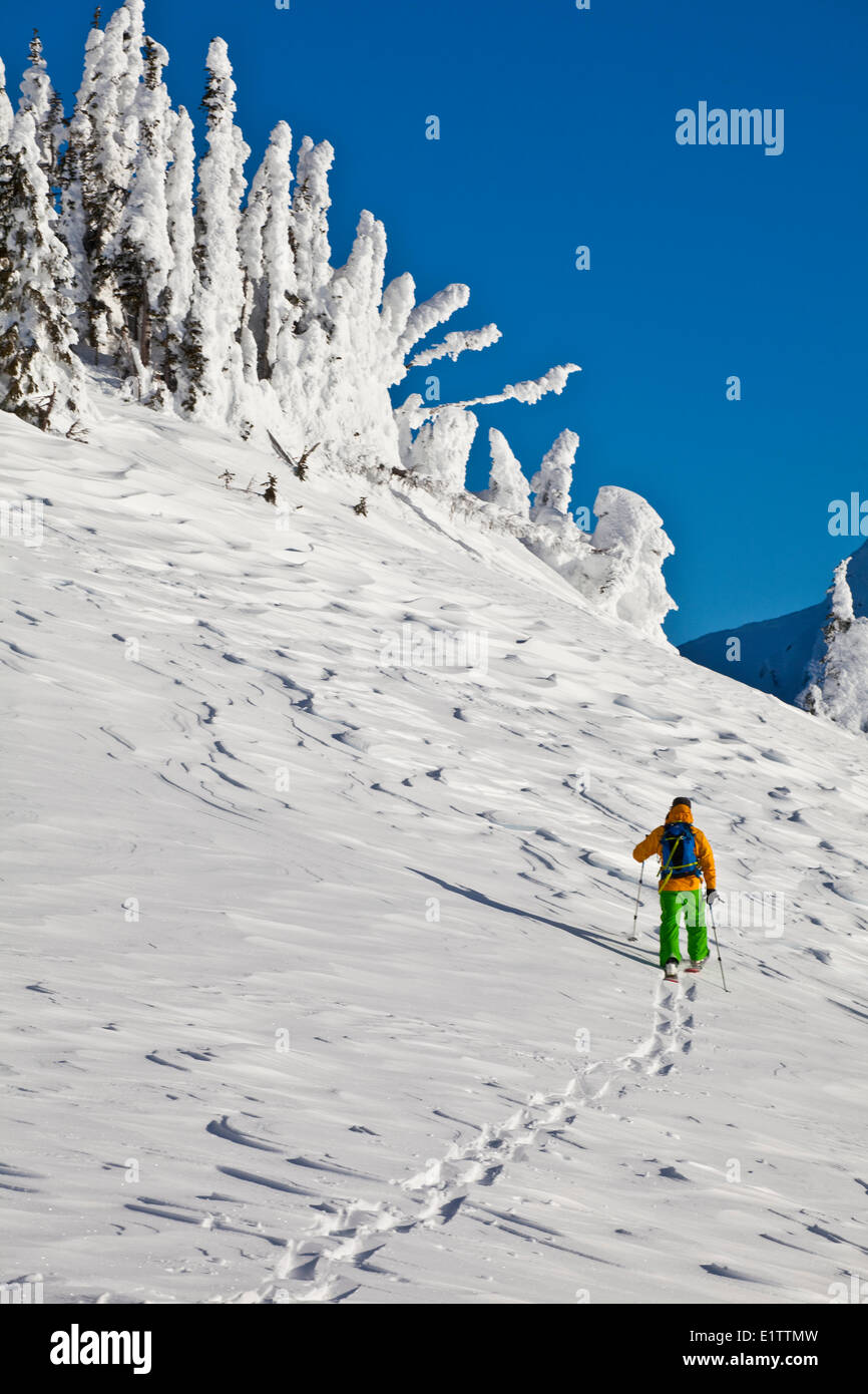 Ein männlicher Backcountry-Snowboarder Revelstoke Mountain Resort, Revelstoke, BC Stockfoto