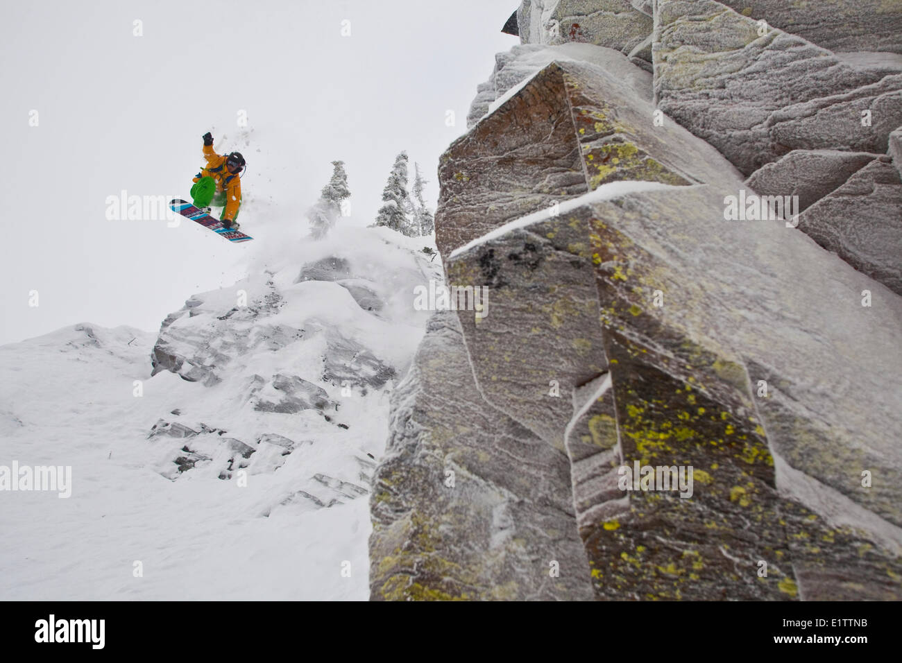 Eine männliche Snowboarder fällt eine Klippe in Revelstoke Mtn Resort, BC Stockfoto