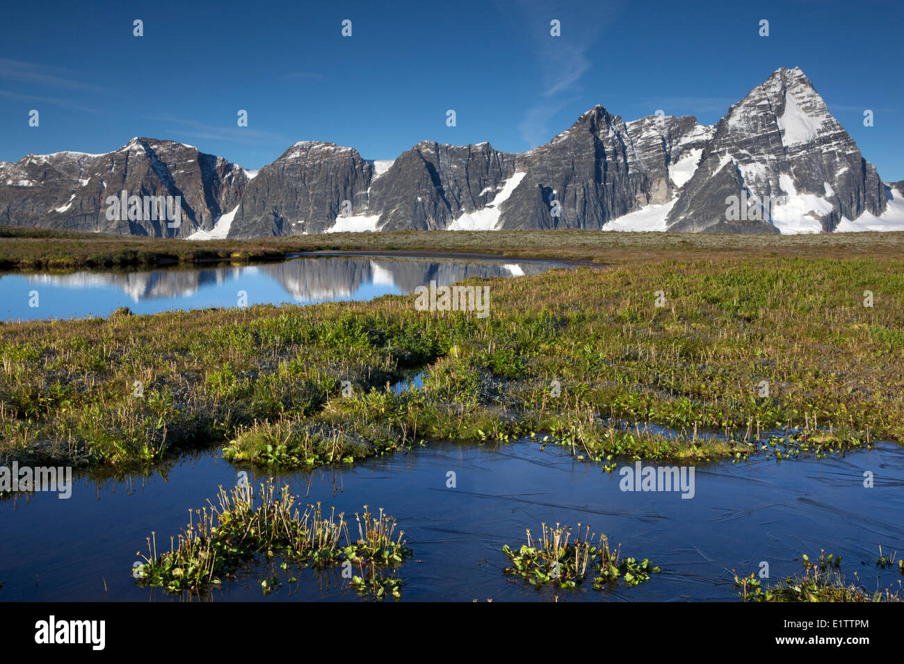 Gefrorene Tarn und Mount Sir Donald, Selkirk Mountains, Glacier National Park, Britisch-Kolumbien, Kanada Stockfoto