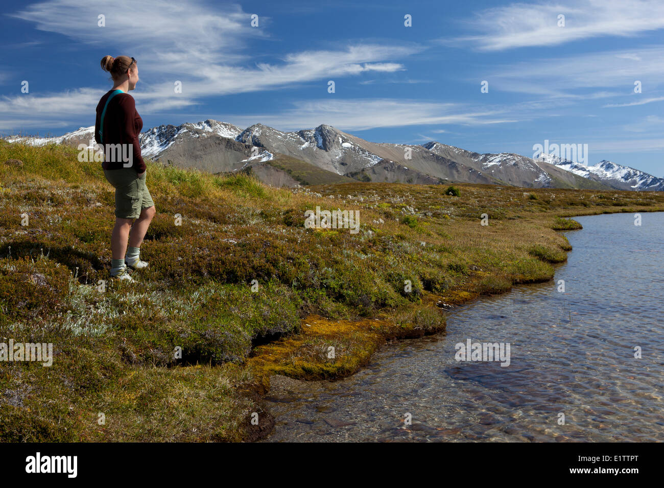 Wanderer und Tarn, kahlen Gebirge, Gletscher-Nationalpark, British Columbia, Kanada Stockfoto