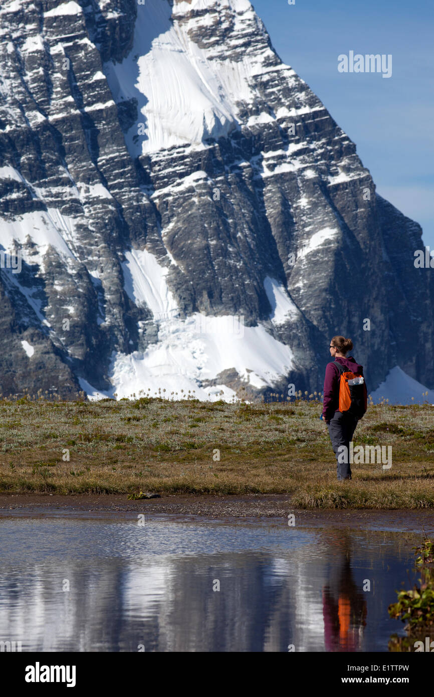Wanderer und Mt Sir Donald spiegelt sich in einer alpinen Tarn, Glacier National Park, Britisch-Kolumbien, Kanada Stockfoto