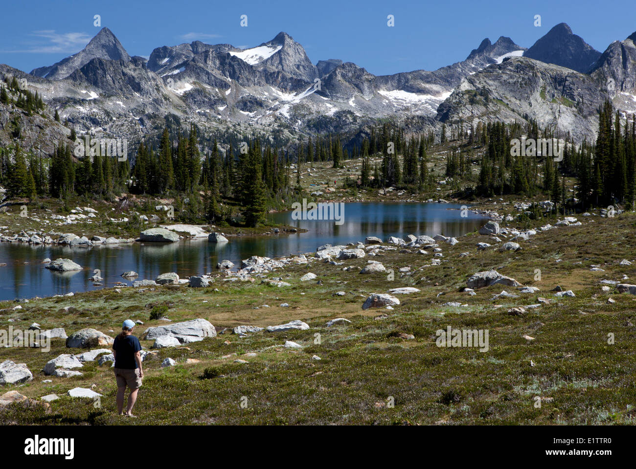 Wanderer am Gwillim Seen, Selkirk Mountains, Valhalla Provincial Park, Britisch-Kolumbien, Kanada Stockfoto