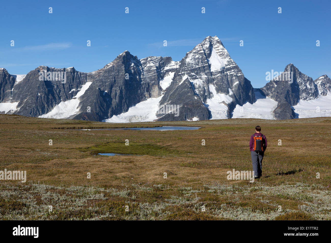 Wanderer erkundet Wiesen in kahlen Gebirge, Glacier National Park, Britisch-Kolumbien, Kanada Stockfoto