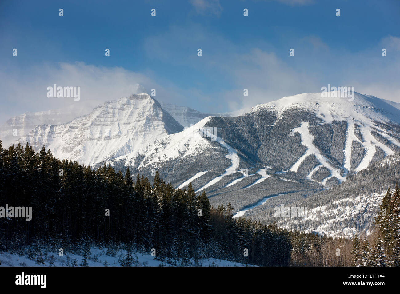 Nakiska Ski Resort, Olympic Gipfel, Centennial Ridge, Mount Allan Kananaskis Provincial Park, Alberta, Kanada Stockfoto