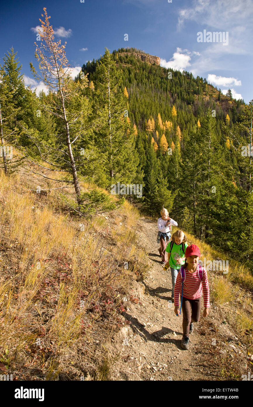 Junge Mädchen auf Castle Mountain Trail Wandern, im Herbst, Fernie, BC, Kanada. Stockfoto