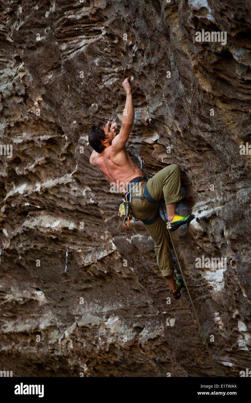 Ein Mann klettert an der Wand Motherlode im Herbst. Red River Gorge, Kentucky Stockfoto