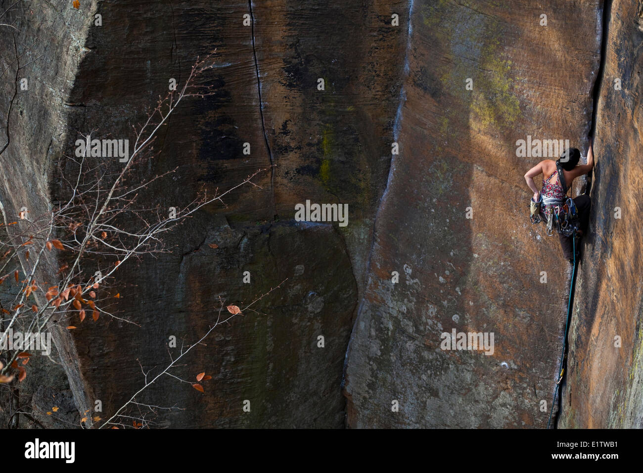 Ein weiblichen Kletterer Riss klettert Rite de Passage 5,9 +, Red River Gorge, Kentucky Stockfoto