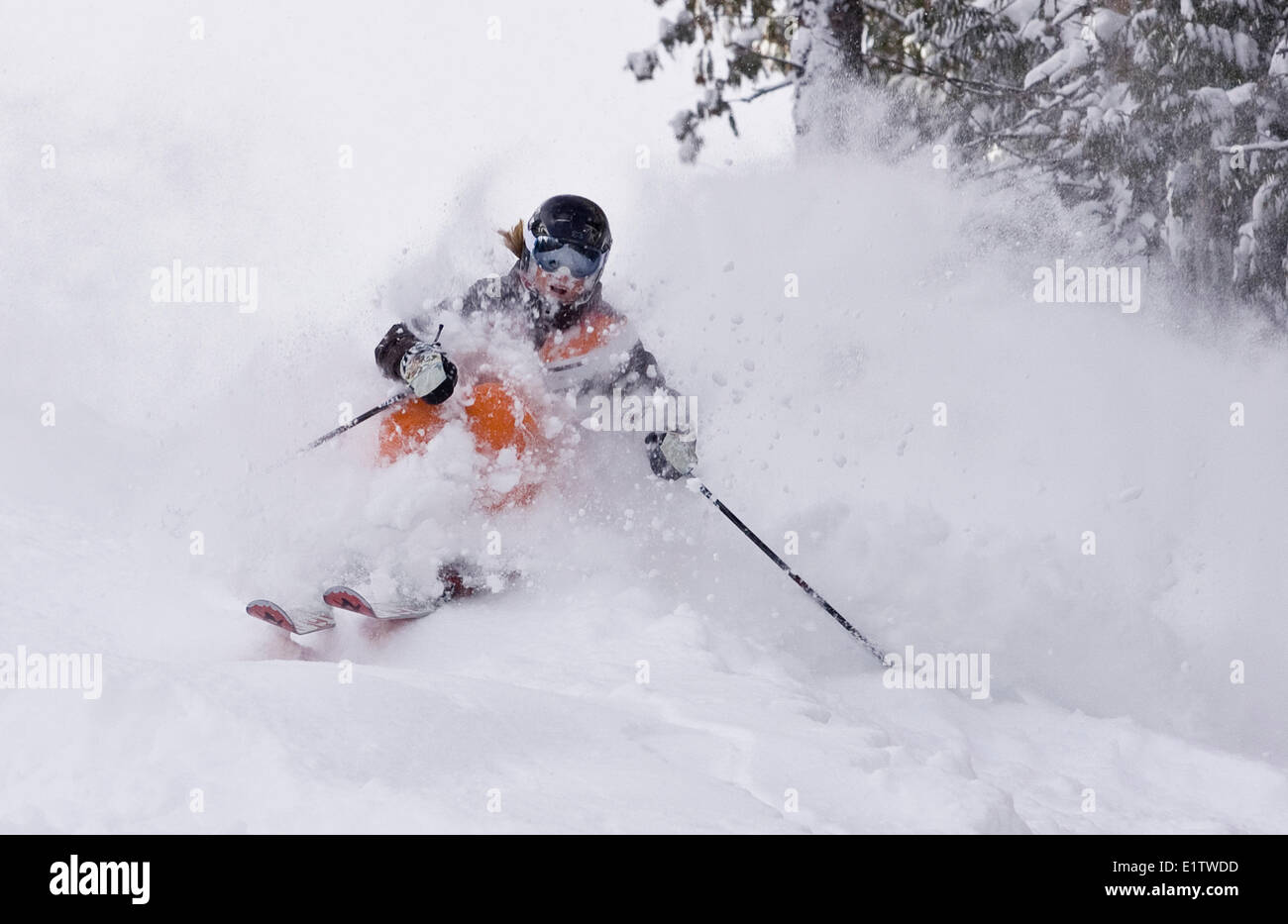 Junge Frau Skifahren Tiefschnee Fernie Alpine Resort, Fernie, BC, Kanada. Stockfoto
