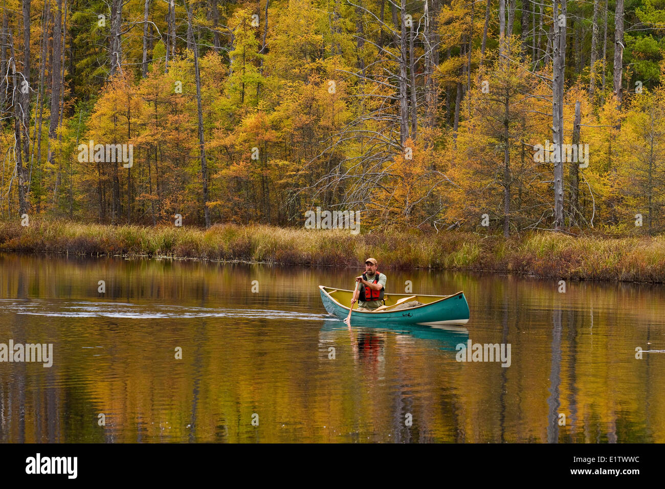 Mann Paddel Kanu auf stilles Wasser des kleinen Baches im nordwestlichen Ende des Algonquin Park, Ontario, Kanada. Stockfoto
