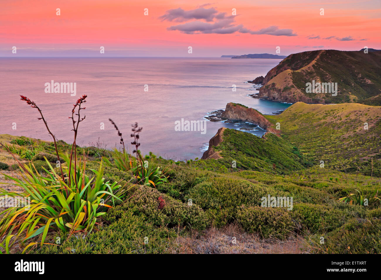 Sonnenuntergang an der Küste der Aupouri Peninsula, Cape Reinga, Northland, Nordinsel, Neuseeland. Stockfoto