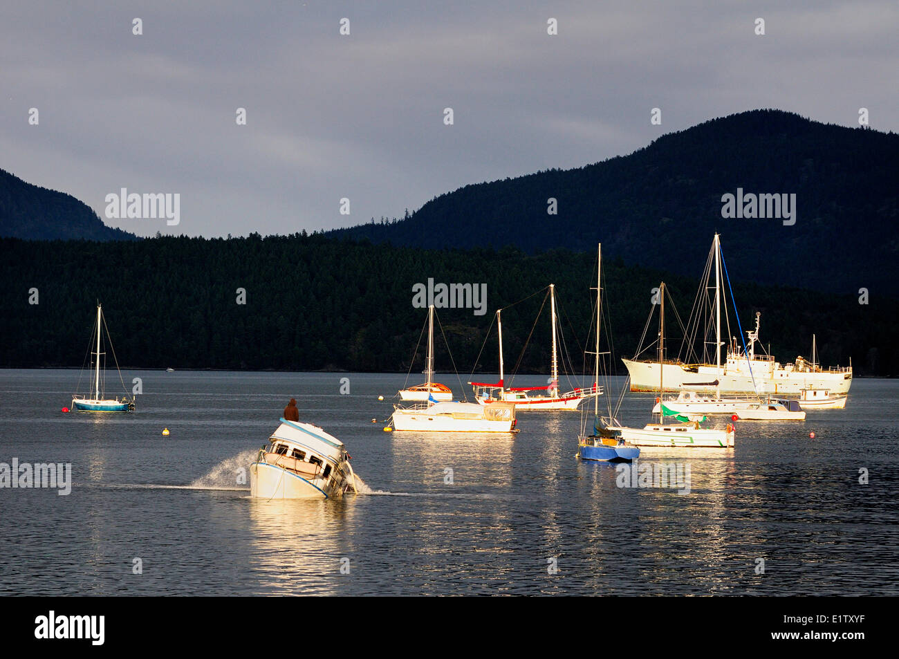 Ein Bootseigner wartet gespannt auf seinem sinkenden Boot, während er Wasser aus seinen Halt in Cowichan Bay, BC pumpt. Stockfoto