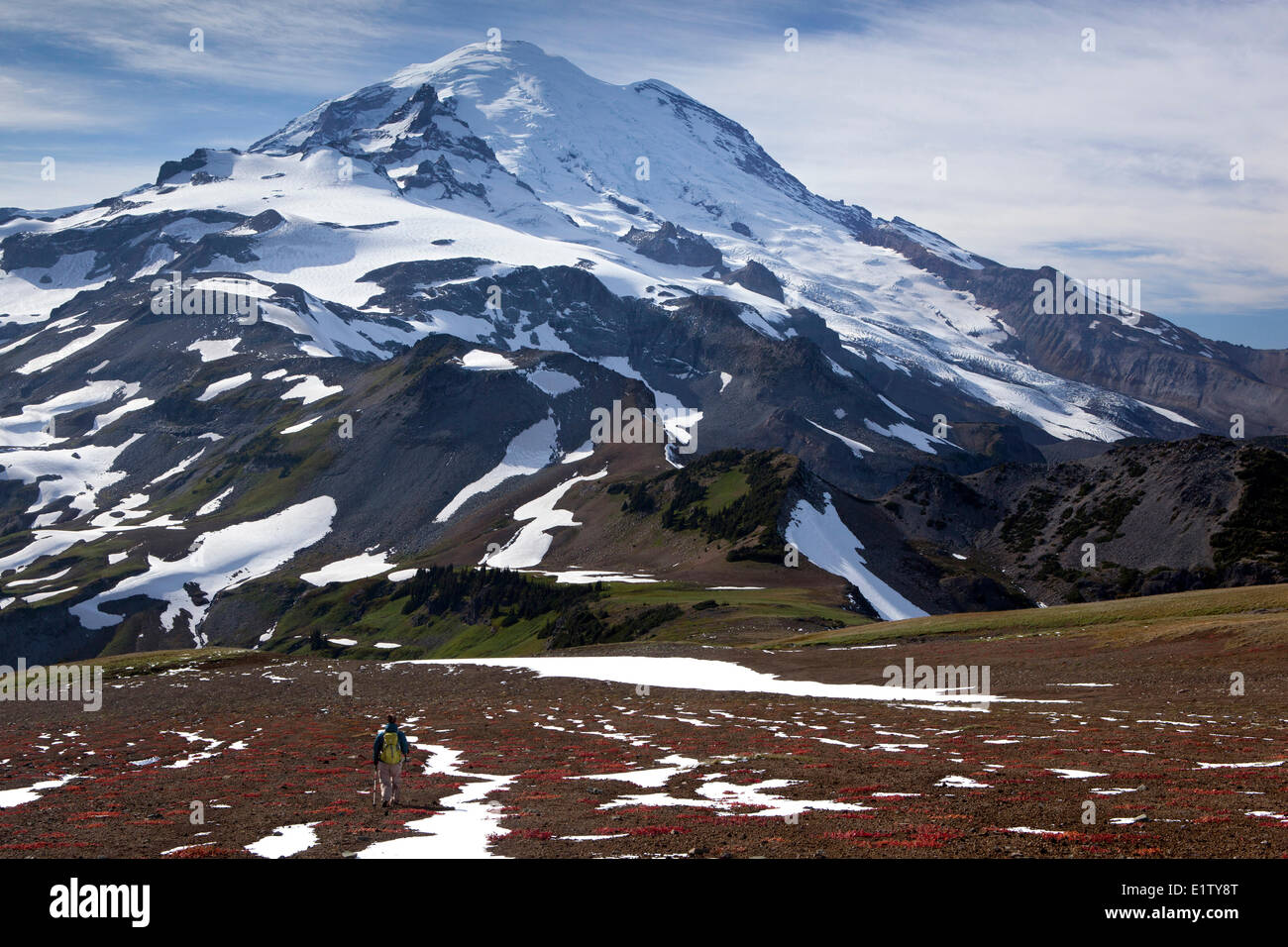 Wanderer, die Banshee Peak in Richtung Mount Baker Panhandle Gap Mount Baker Nationalpark Washington USA Amerika absteigend Stockfoto