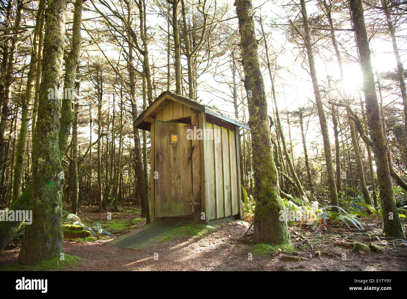 Ein Plumpsklo oder Grube WC im Regenwald am Green Point in der Nähe von Long Beach Combers Strand im Pacific Rim National Park in der Nähe Stockfoto