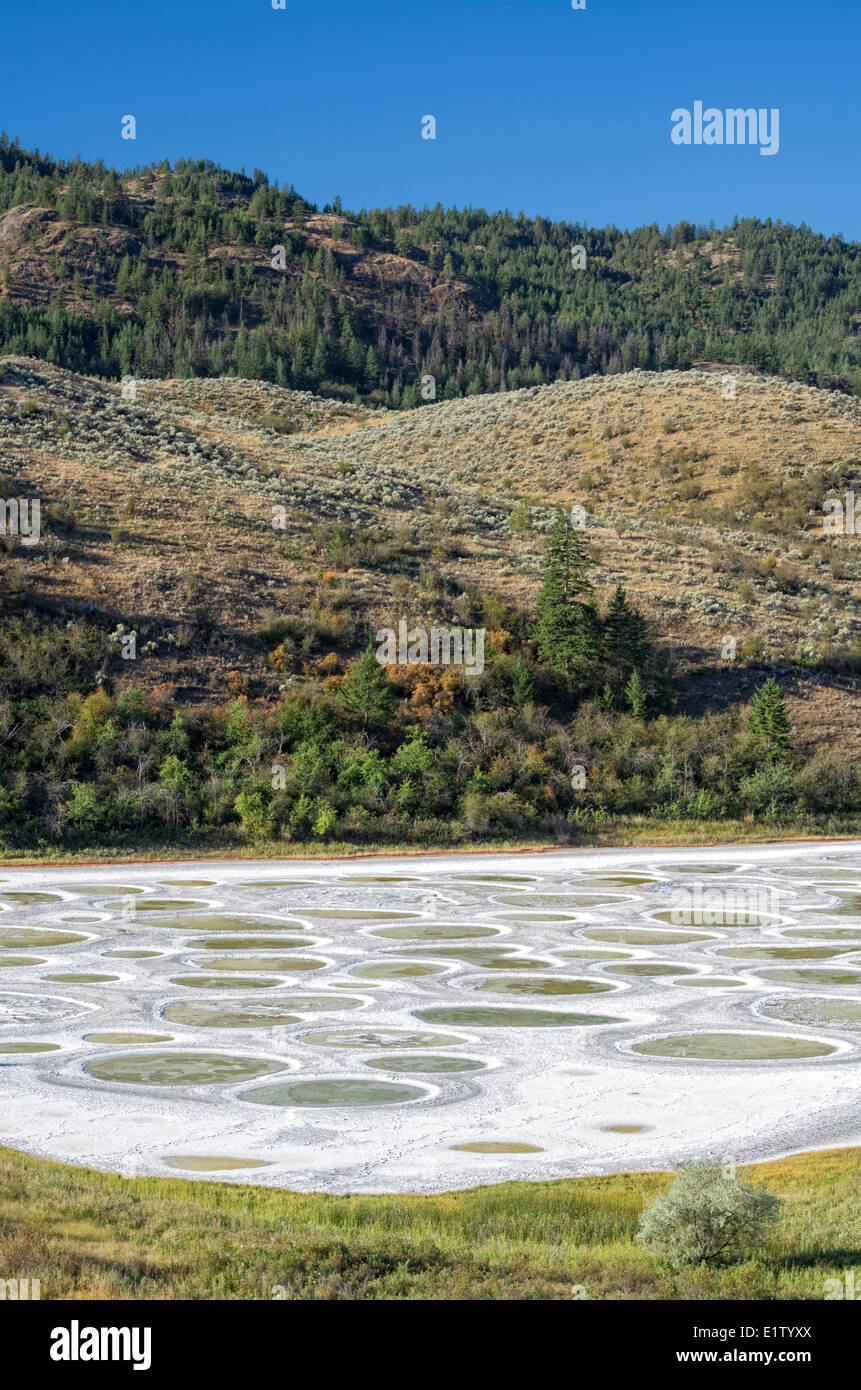 Gefleckte See in der Nähe von Osoyoos, Britisch-Kolumbien, Kanada. Stockfoto