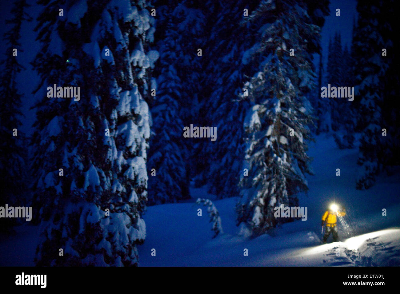 Ein Mann kommt zurück von einem späten Tag auf Skitouren, Sol Mountain Lodge, Monashee Backcountry, Revelstoke, BC Stockfoto