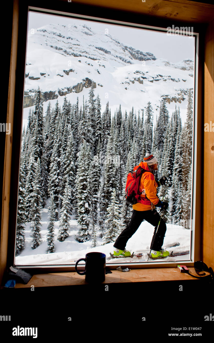 Ein männlicher Backcountry Skifahrer unterwegs für eine Skitour am frühen Morgen. Eisfall Lodge, Golden, BC Stockfoto