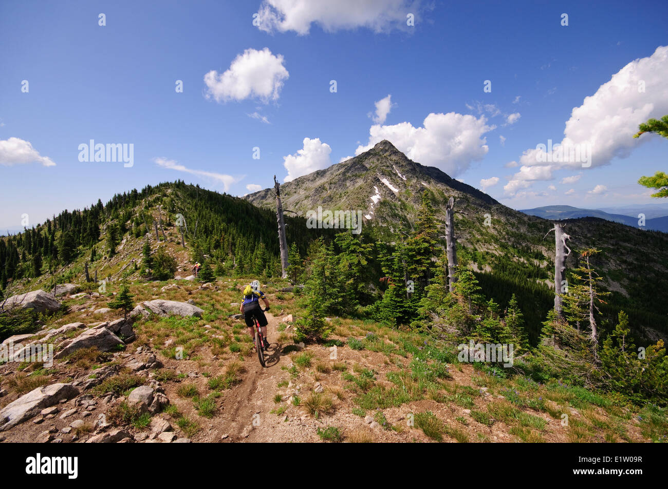 Mountainbike-Touren entlang der Seven Summits in Rossland. Kootenay Rockies Region, Britisch-Kolumbien, Kanada Stockfoto