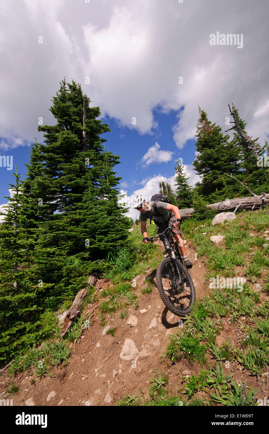 Mountainbike-Touren entlang der Seven Summits in Rossland. Kootenay Rockies Region, Britisch-Kolumbien, Kanada Stockfoto