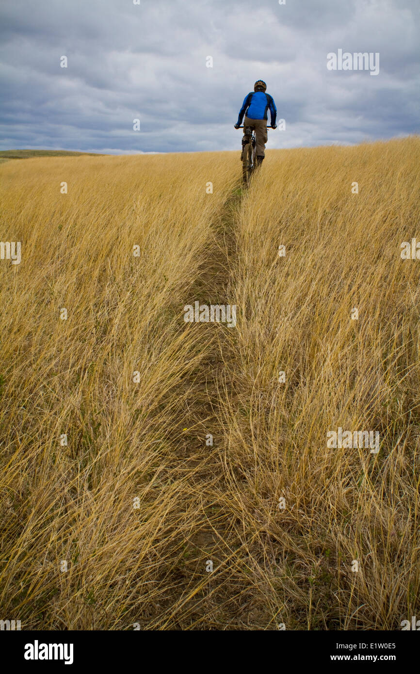 Ein männliche Mountainbiker genießt die schönen Singletrails von Maah Daah Hey Trail, North Dakota Stockfoto