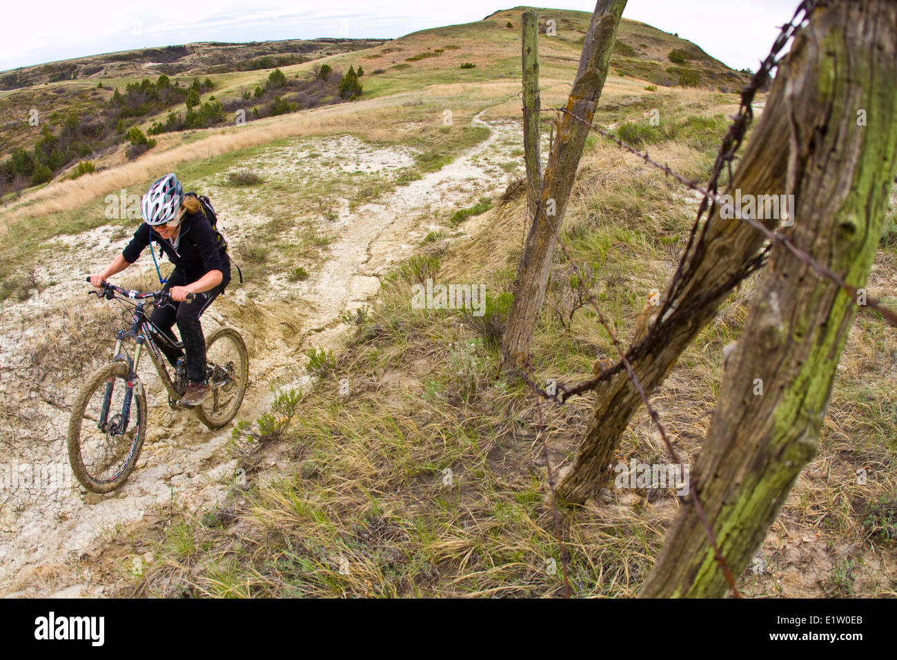 Ein weibliche Mountainbiker folgt eine perfekte Band aus Singletrails. Maah Daah Hey Trail, North Dakota Stockfoto