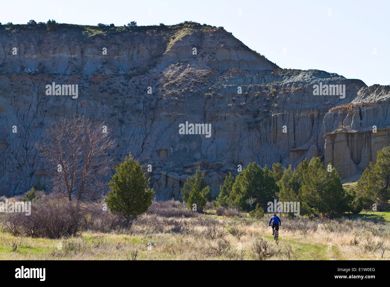 Ein männliche Mountainbiker genießt die schönen Singletrails von Maah Daah Hey Trail, North Dakota Stockfoto