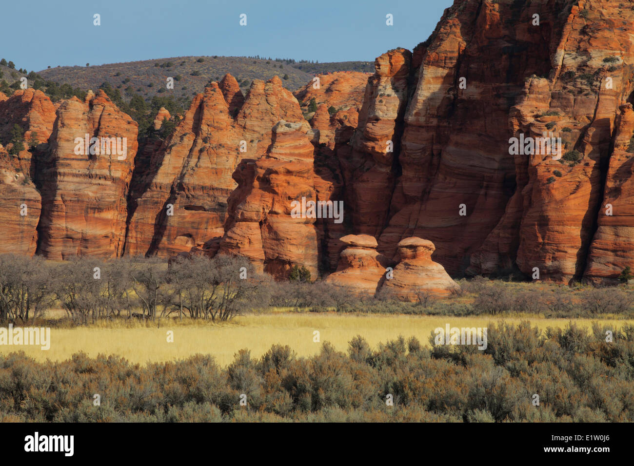 Sandstein-Formationen entlang Kolob Canyon Terrace Road, im Zion Nationalpark, Utah. Stockfoto