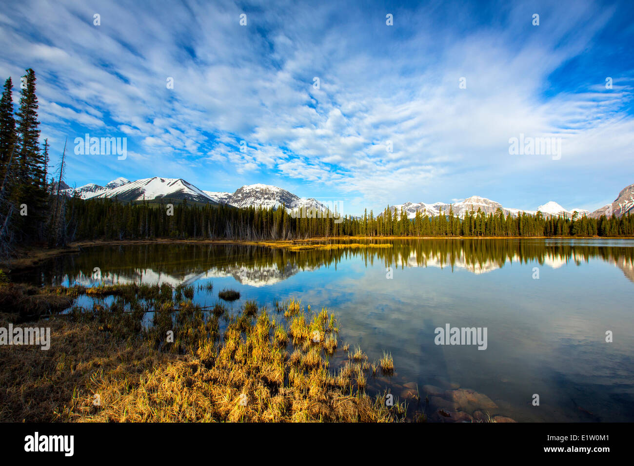 Mud Lake, Peter Lougheed Provincial Park, Alberta Stockfoto