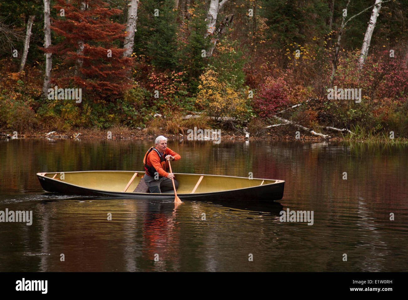 Älterer Mann paddeln Kanu in ruhiger Umgebung am Habichtsbitterkraut See, Muskoka, Ontario, Kanada. Stockfoto