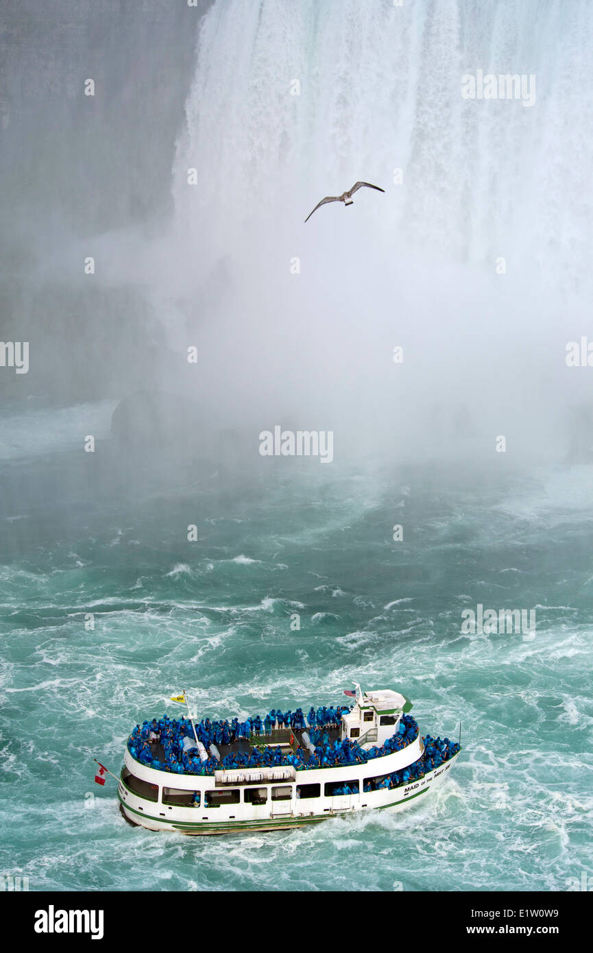 Magd des Nebel Bootes die Touristen an der Unterseite von Niagara Falls Stockfoto