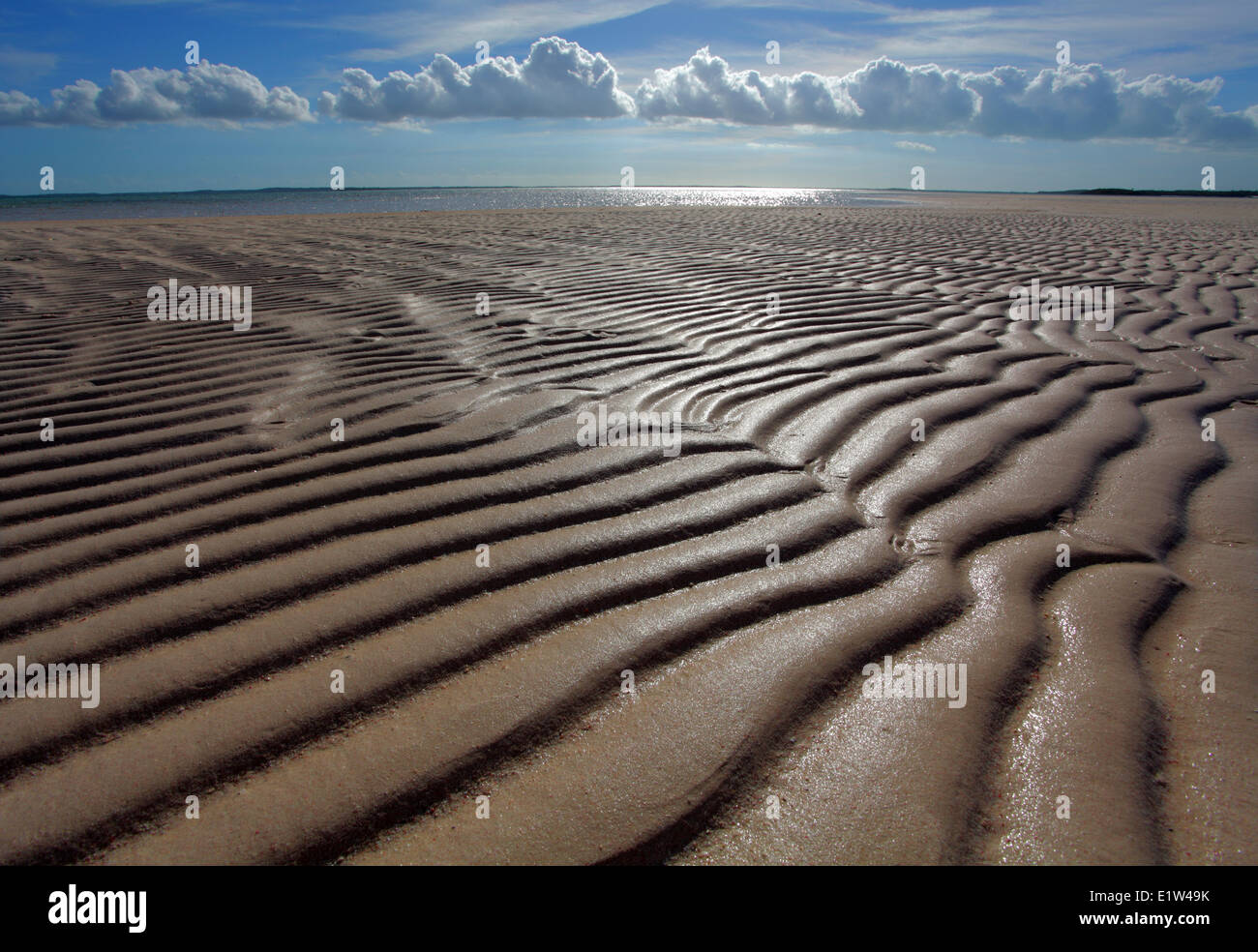 Sand der Nehrung 2, Eleuthera, Bahamas Stockfoto