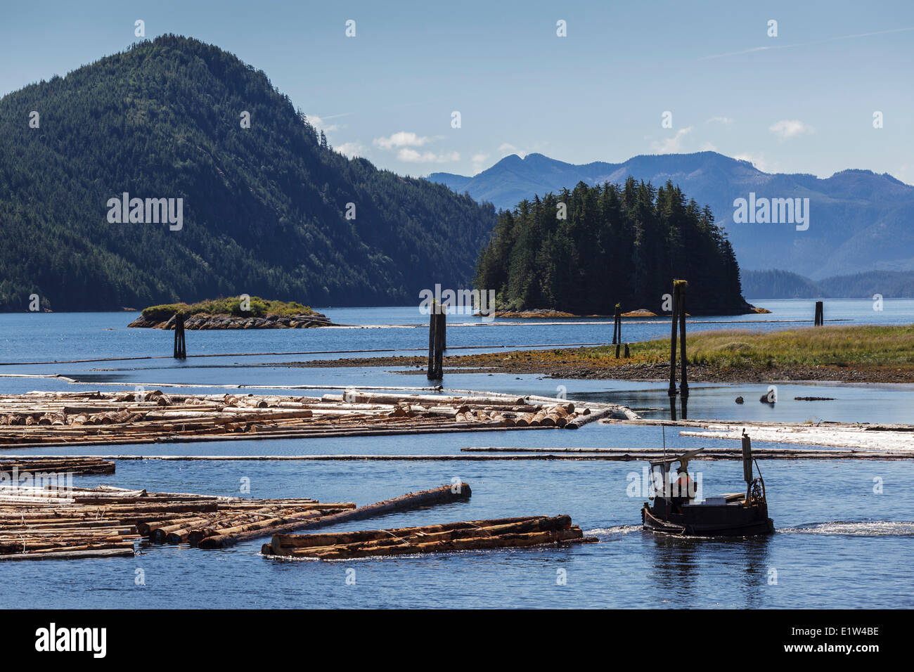 Ein Dozer Bootsführer sortiert Protokolle in einem schwimmenden Boom bei Kendrick Arm Log Dump auf der Küste von British Columbia. Keine Freigabe Stockfoto