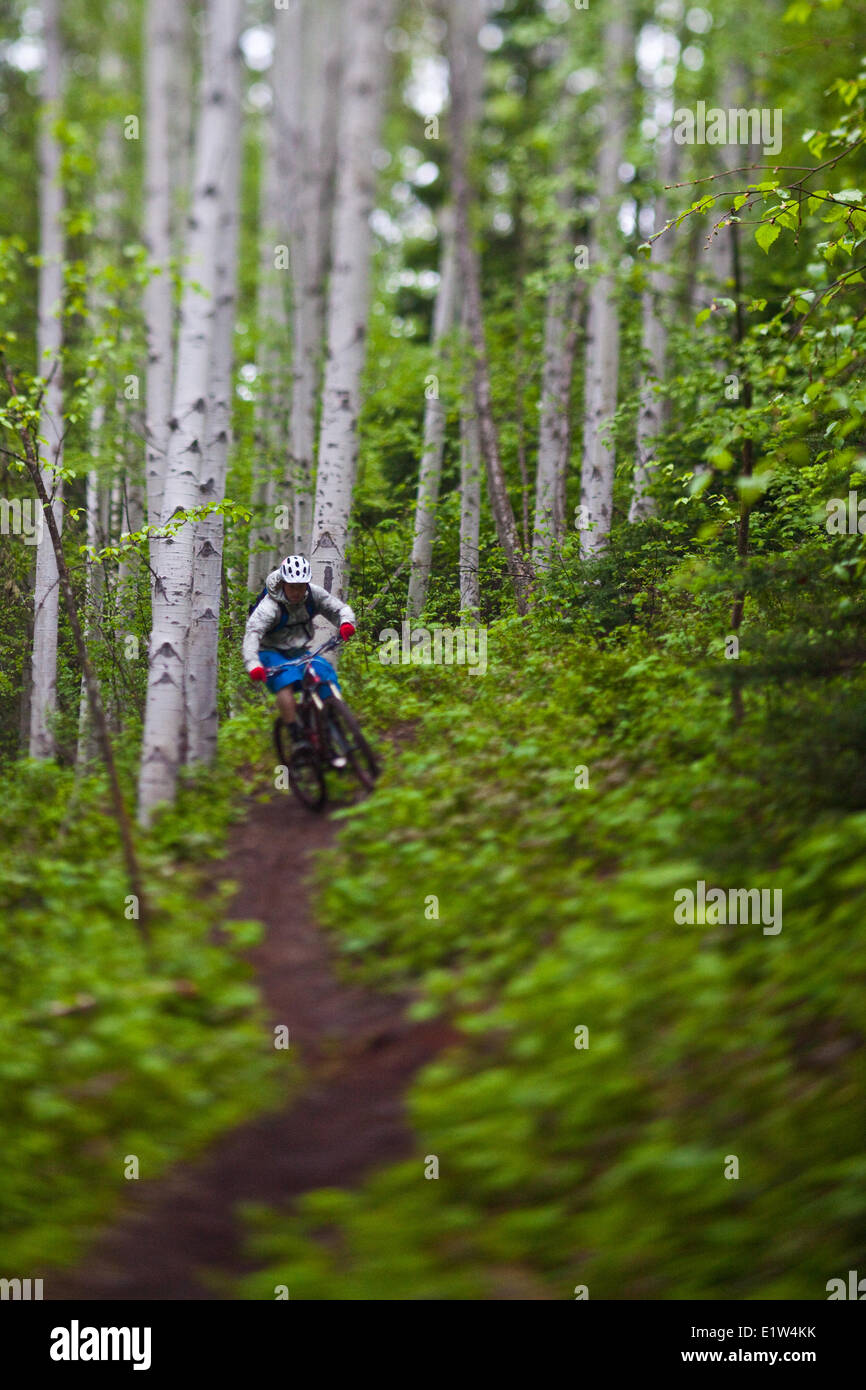 Eine junge männliche Mountainbiker fahren die Moonraker cross Country Trail System in der Nähe von Golden, BC Stockfoto