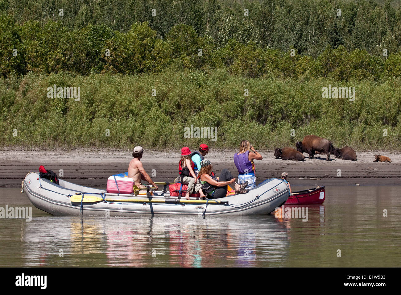 Floß und Kanu weitergeben Bison Nahanni River Nahanni National Park zu bewahren, NWT, Kanada. Stockfoto