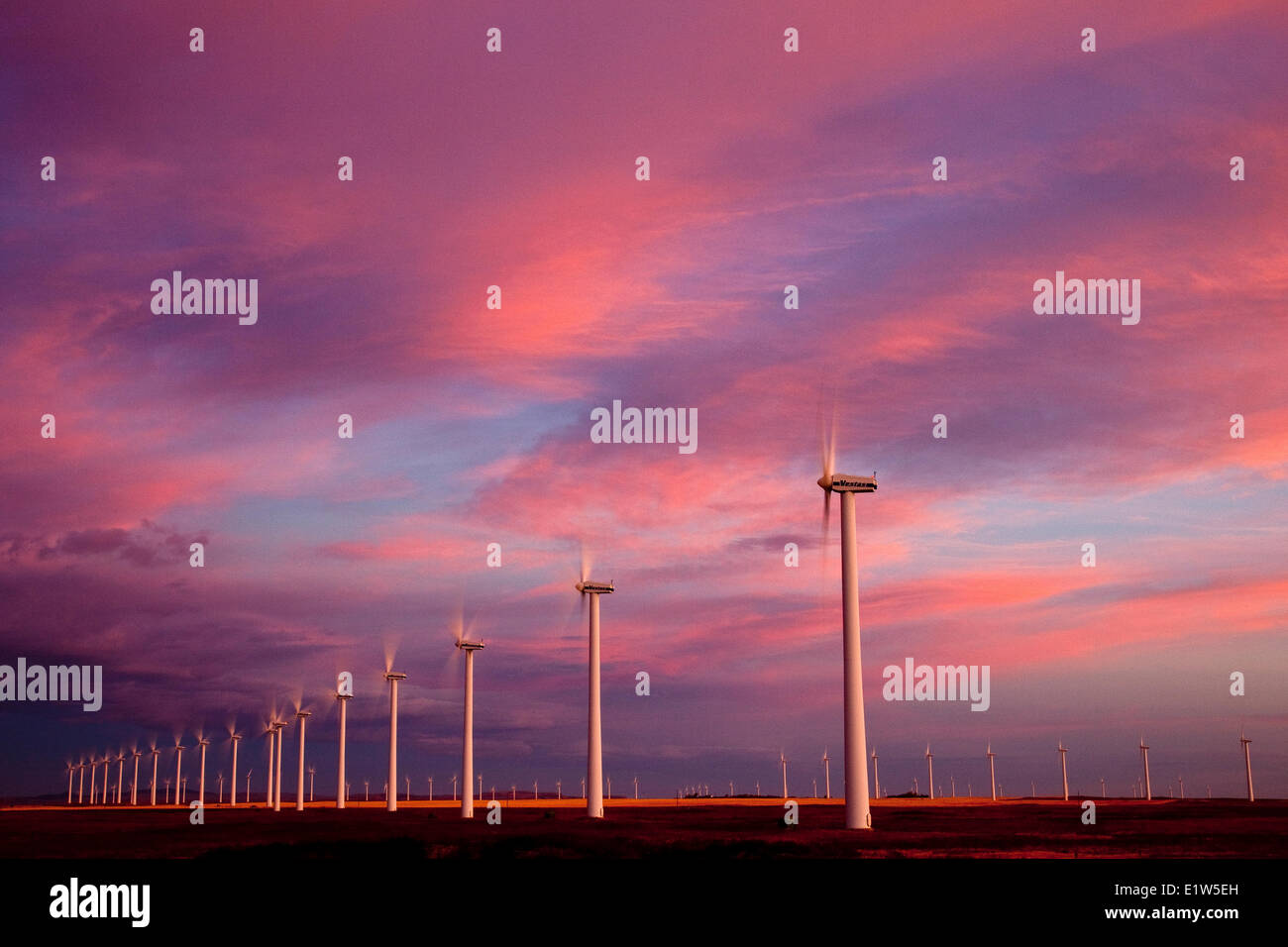 Stromerzeugenden Windmühlen in Betrieb im Morgengrauen in der Nähe von Fort Macleod, Süd-Alberta, Kanada. Stockfoto