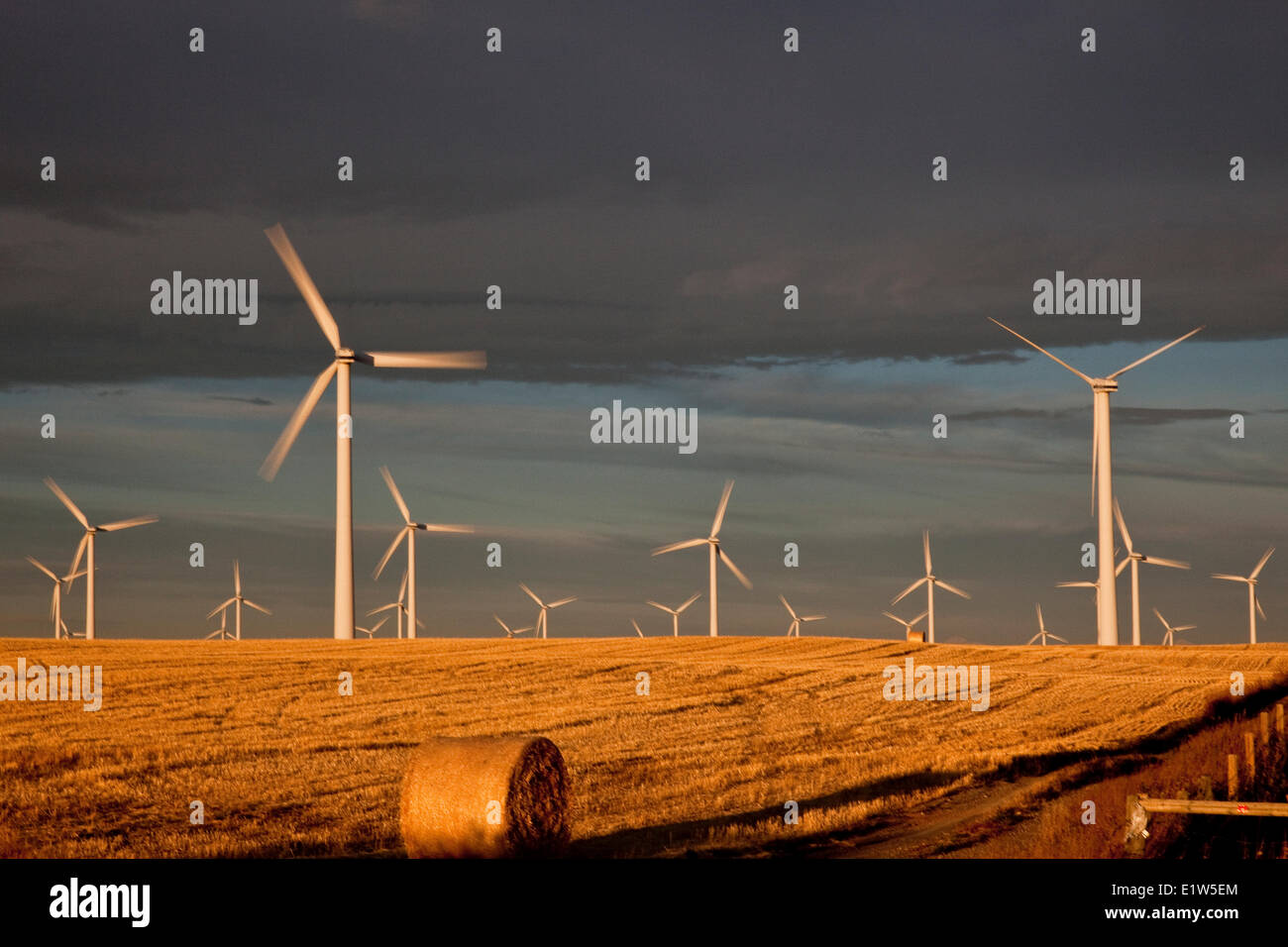 Stromerzeugenden Windmühlen in der Nähe von Fort MacLeod, Alberta, Kanada. Stockfoto