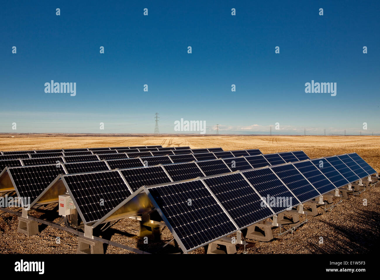 Sonnenkollektoren auf Bauernhof in der Nähe von Calgary, Alberta, Kanada. Stockfoto