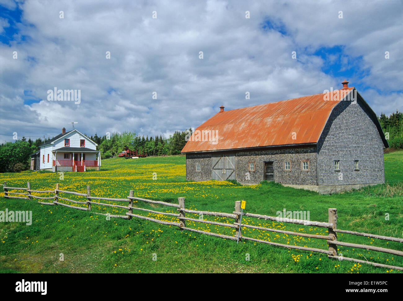 Scheune, Haus und Zaun auf Gaspe Halbinsel, Grosses Roches, Quebec, Kanada Stockfoto