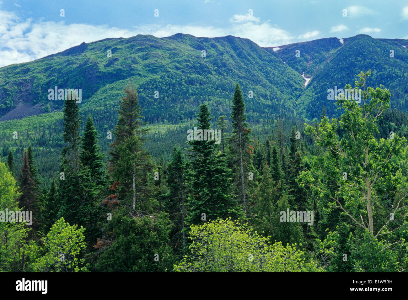 Appalachian Berge, Parc De La Gaspesie, Quebec, Kanada Stockfoto