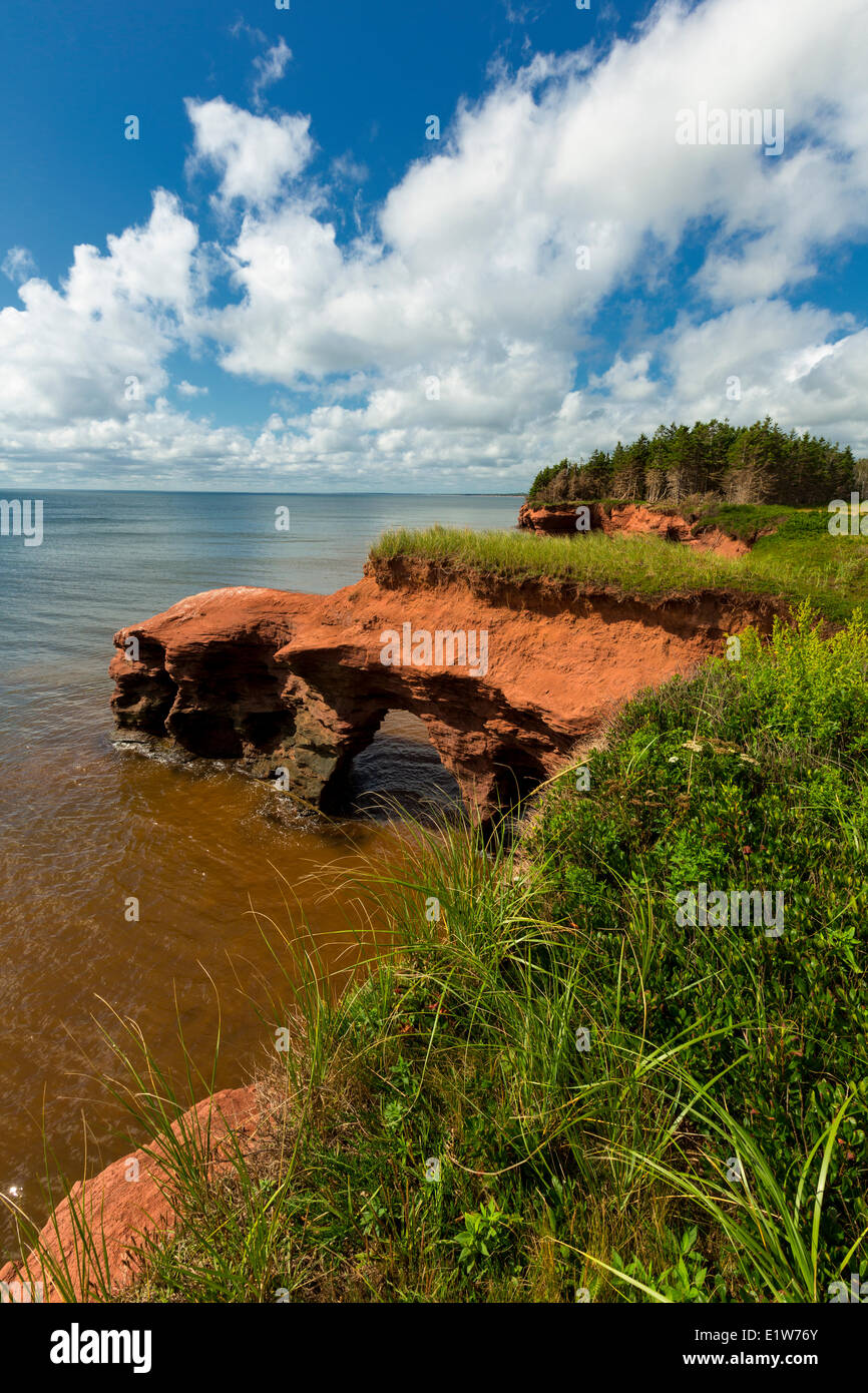 Erodiert roten Sandsteinfelsen, Kildare Capes, Prince Edward Island, Canada Stockfoto