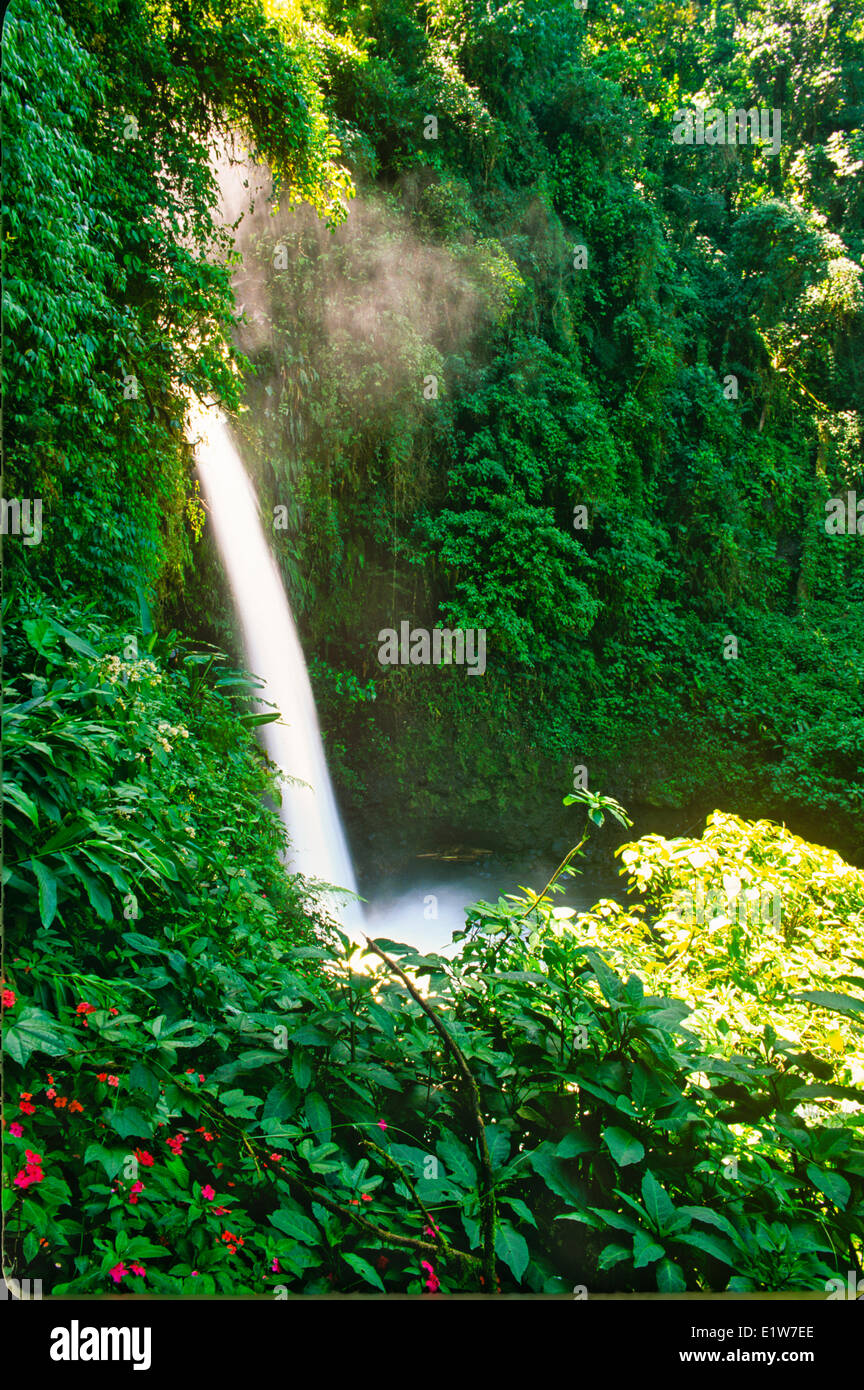 Wasserfall im Regenwald, La Paz Wasserfall Gärten, Costa Rica Stockfoto