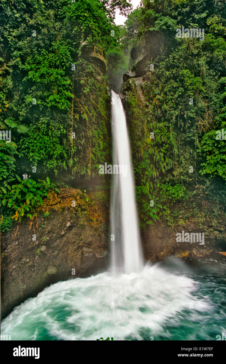 Wasserfall im Regenwald, La Paz Wasserfall Gärten, Costa Rica Stockfoto