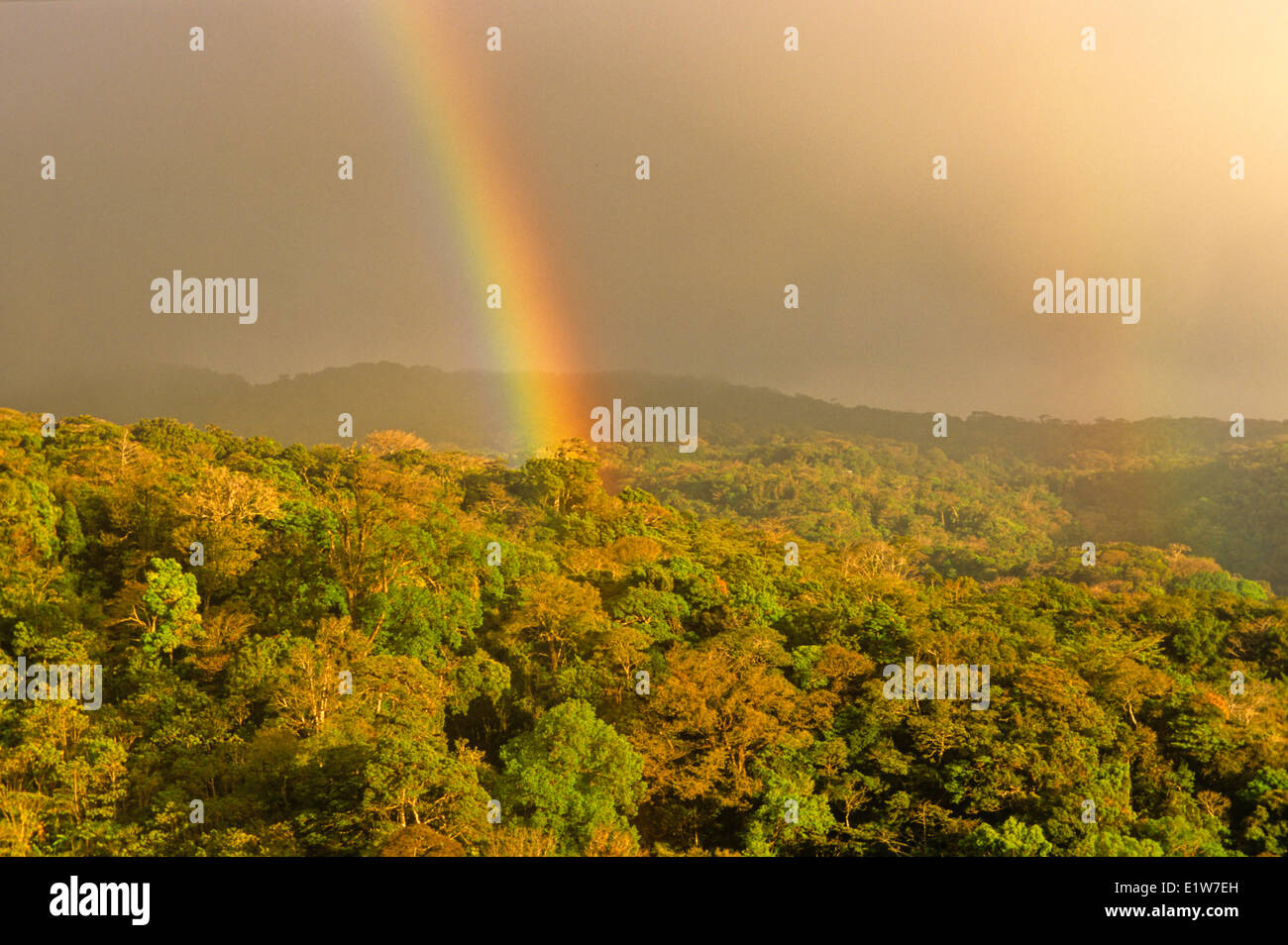 Regenbogen über Monteverde Cloud Forest Reserve, Costa Rica Stockfoto