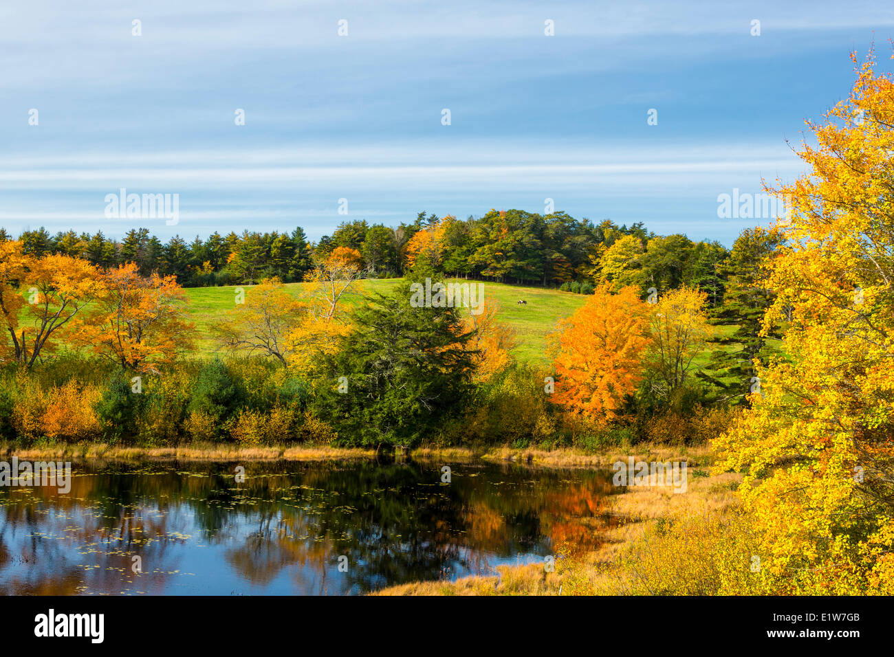 Lakeview, Queens Municipality, Nova Scotia, Kanada Stockfoto