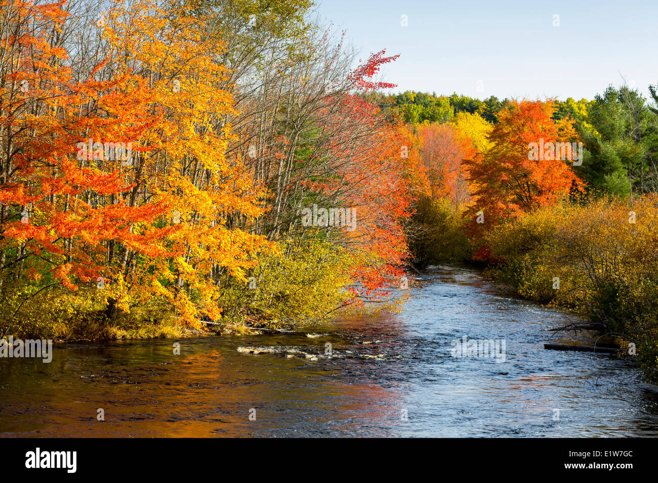 Südlichen Brookfield, Queens Municipality, Nova Scotia, Kanada Stockfoto